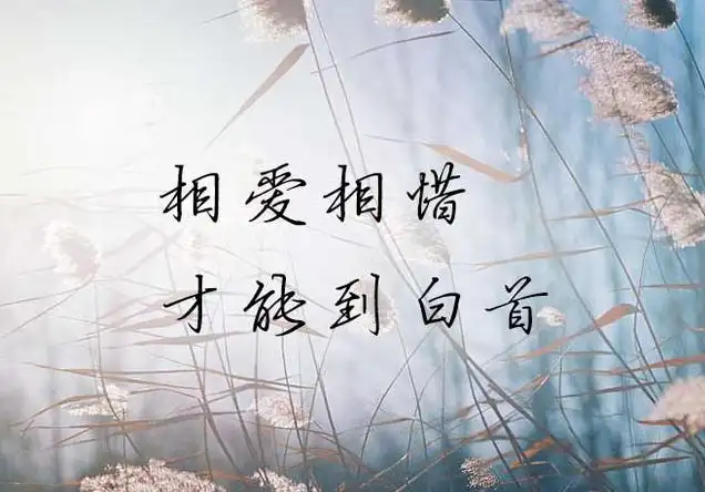 中研院的设立跟胡适有什么关系?胡适的英文水平很好吗...