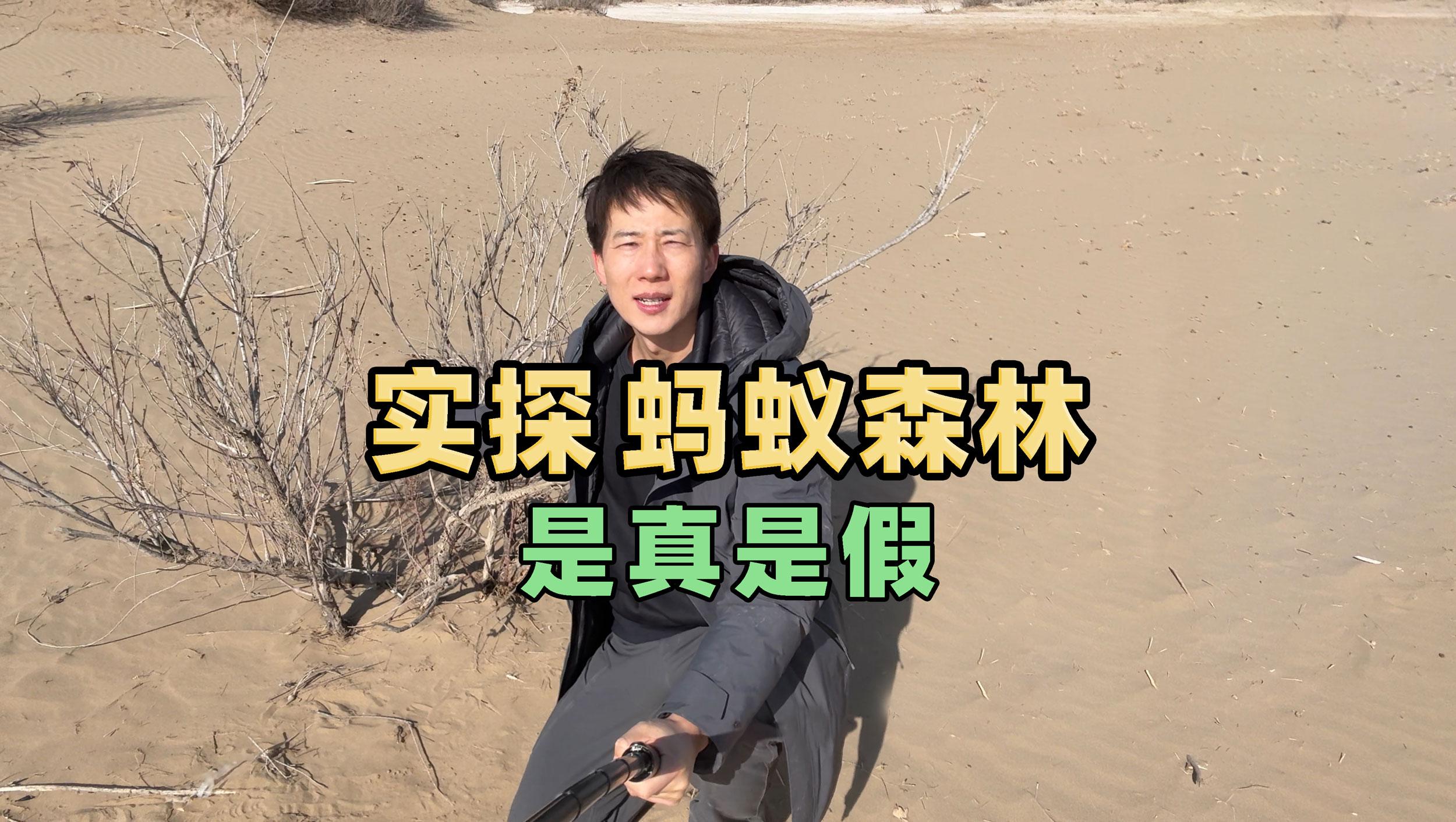 延安特色街区文化深度探索：从革命圣地到现代烟火气的精彩变迁