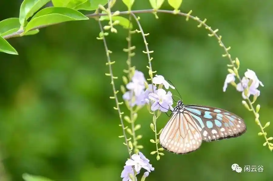 外卖女骑手接单技巧全攻略
