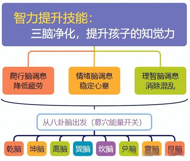 大脑如何思考问题 人类智慧的关键是什么