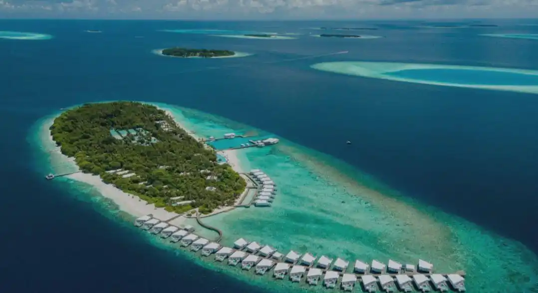 三沙qq上约茶是真的吗