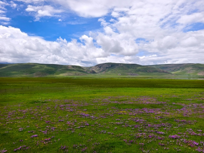远古人类基因让藏族人适应“世界屋脊”?...