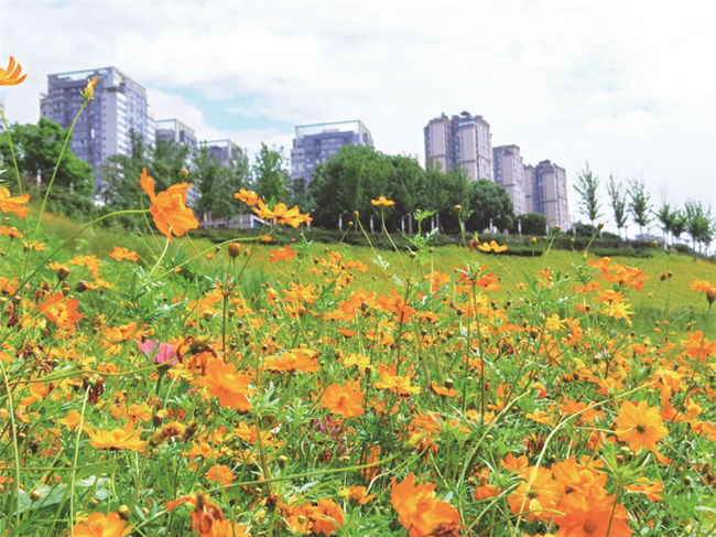 深度探访三峡,再见消落的江城...