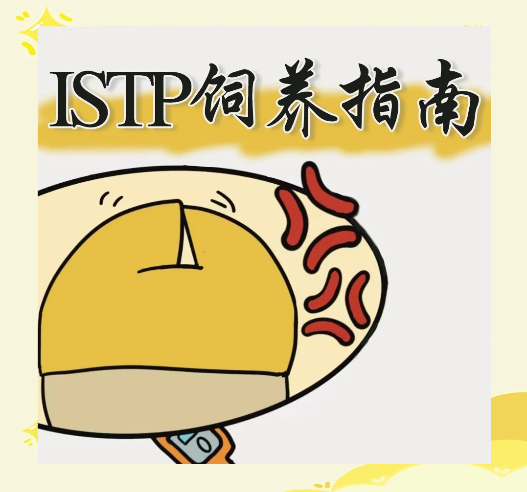 从茶小白到鉴赏家:昆明90分钟品茶海选完全手册