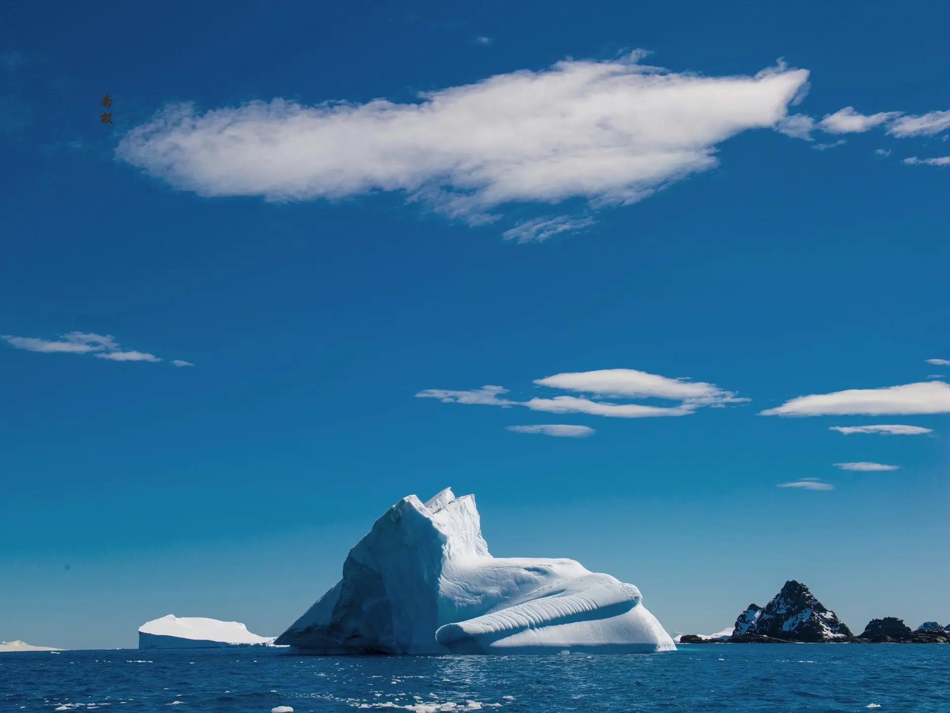 总数占全世界海鸟五分之一的南极洲有哪些鸟种?...