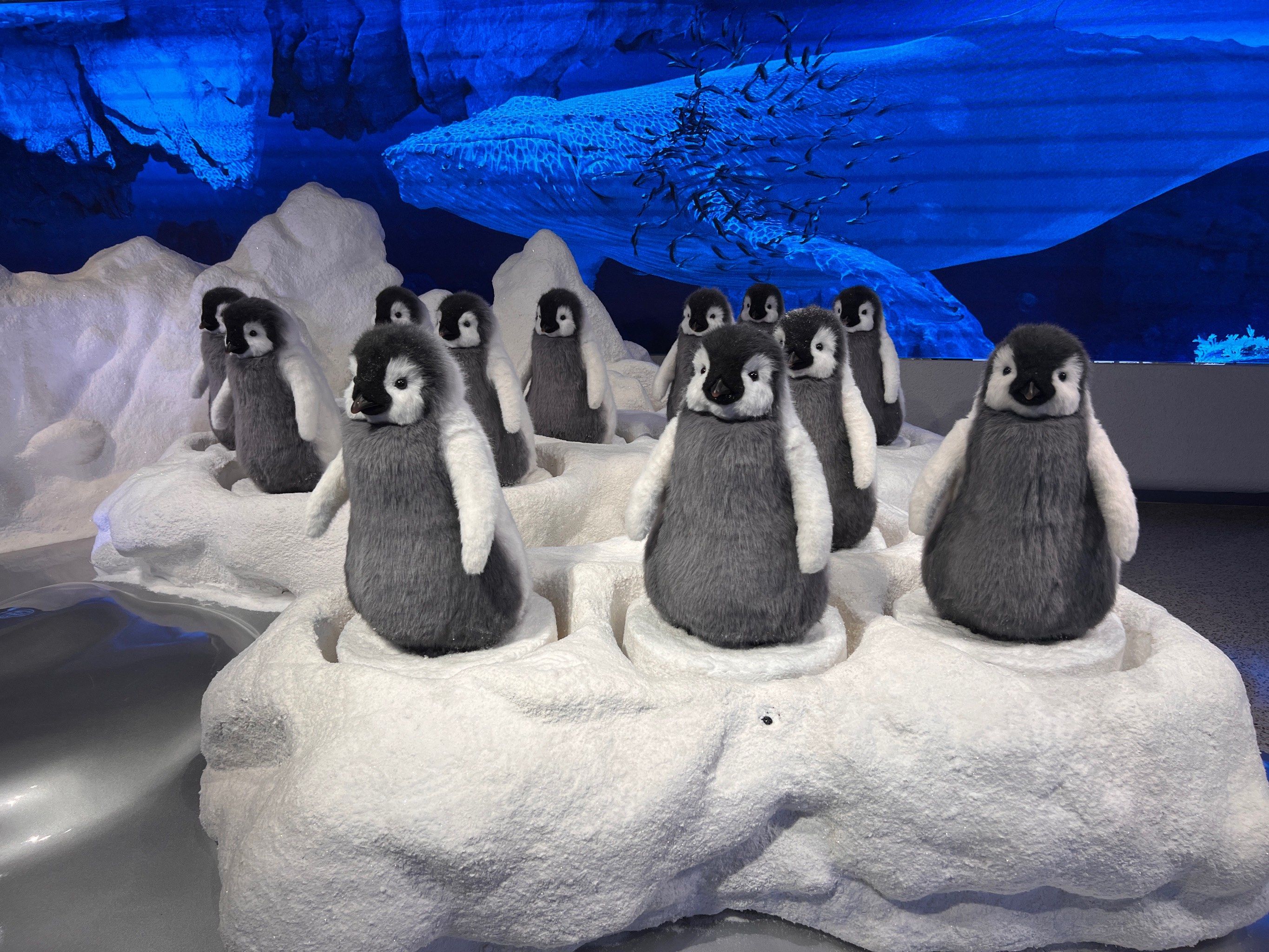 北极熊和企鹅互换生活环境 极地动物能否生存