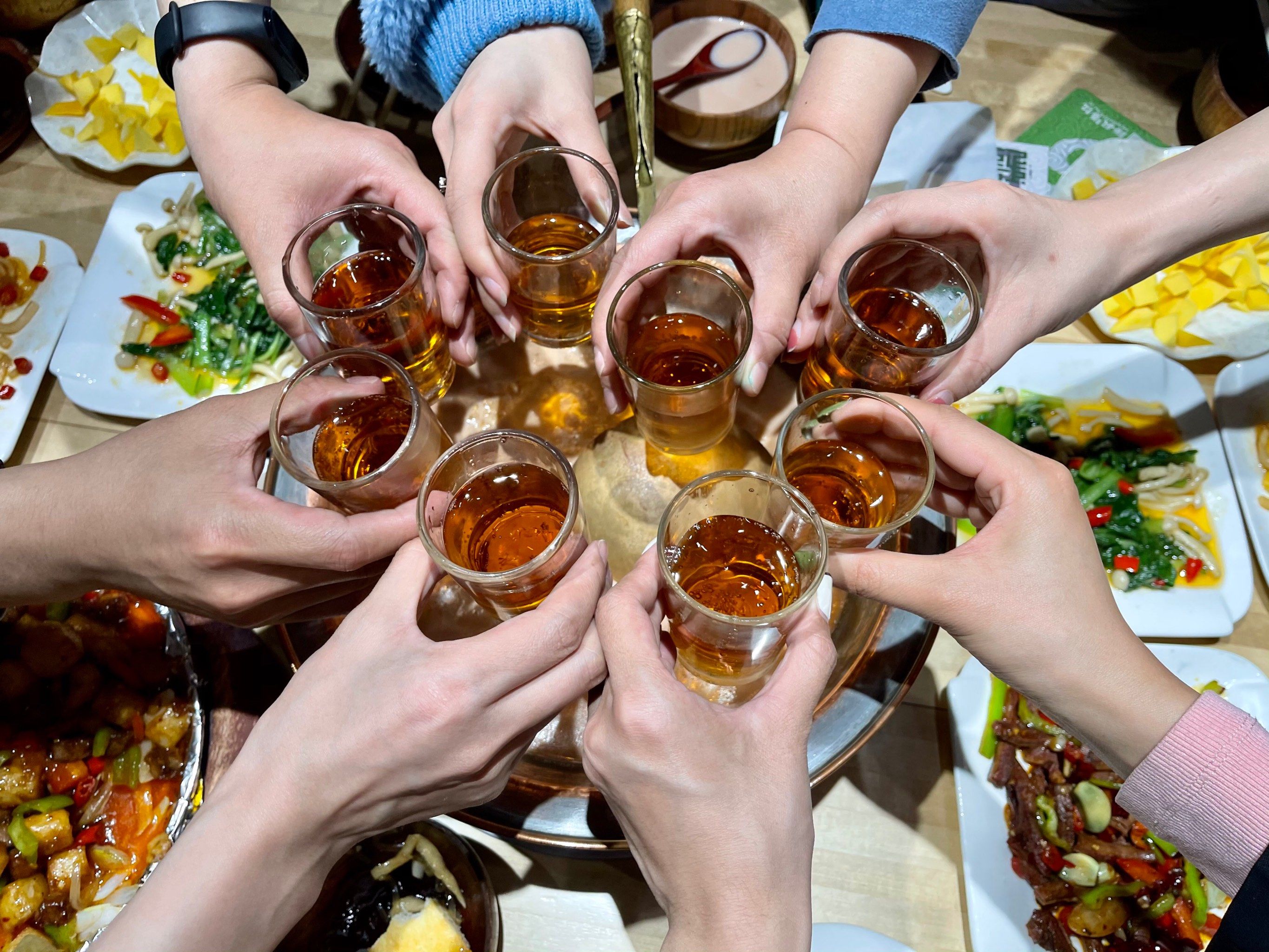 喜欢“喝酒”的不止是人类,还有这些动物?...