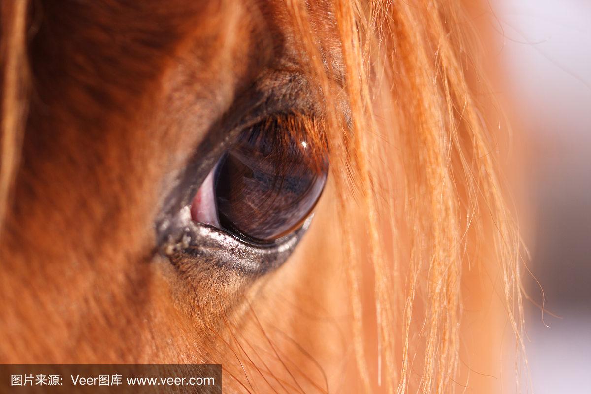 国际关注点：男用充气马眼棒怎么用？从新手到高手的全程实操指南