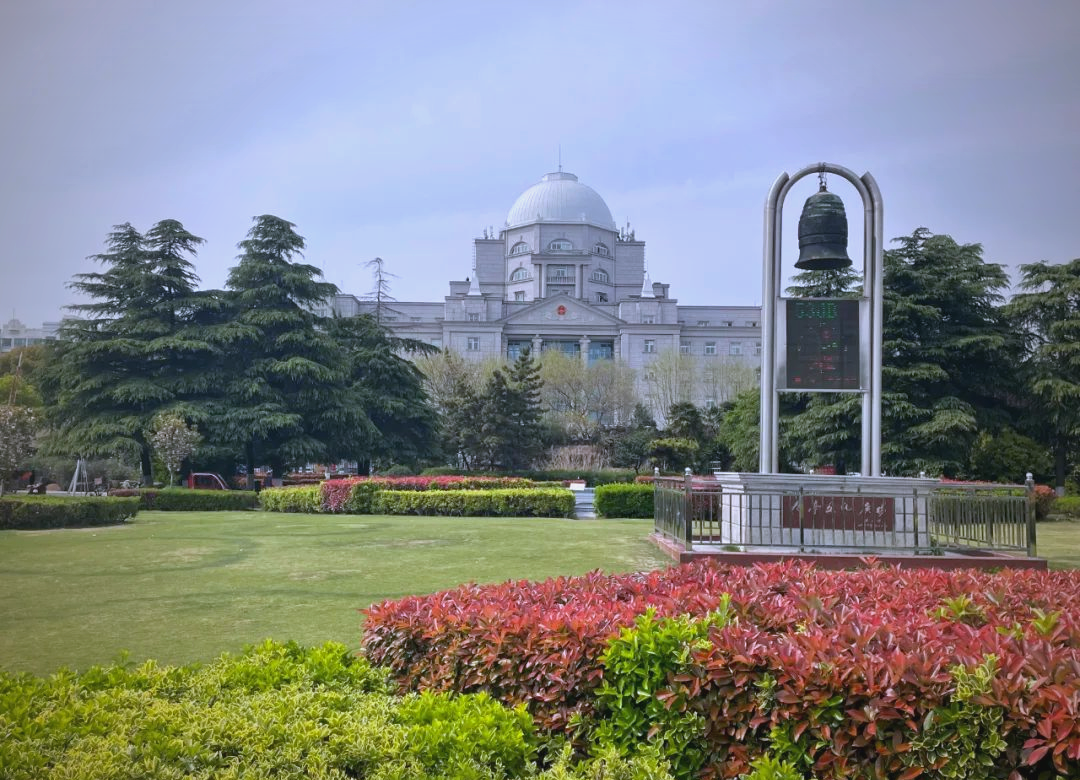 新闻消息刚刚传出：九亭150的一条街到底怎么样？真实体验分享