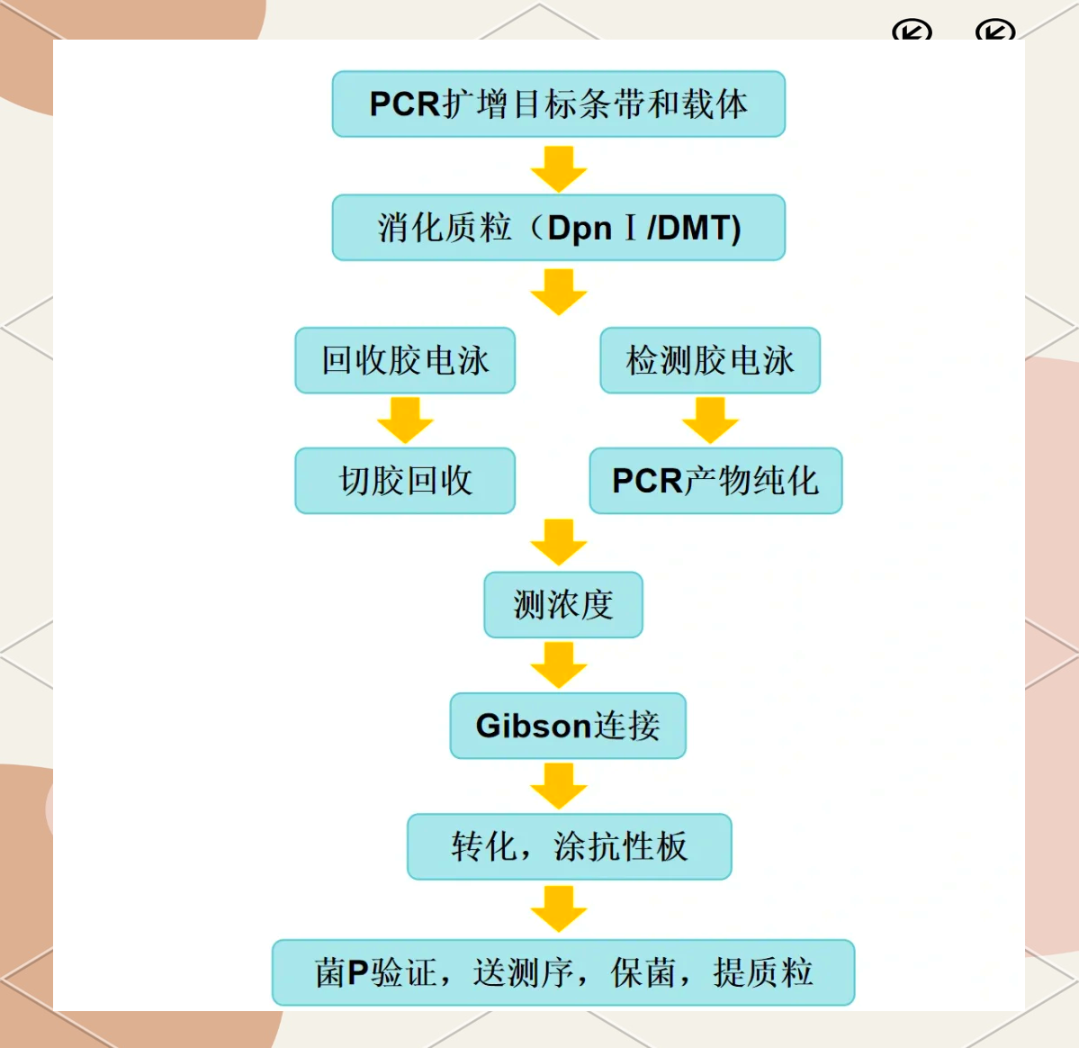 克隆技术如何改变世界 假如我会克隆能做什么