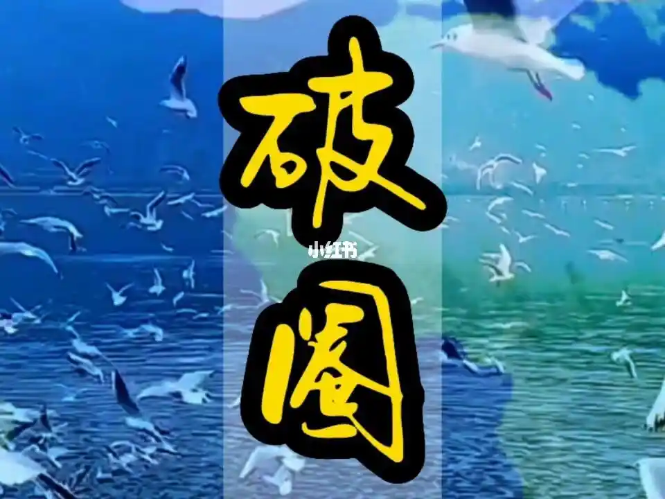 老乡鸡自曝家丑营销 反向操作如何破圈