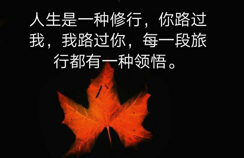 不要等到生活为难你时,才后悔过去太安逸?...