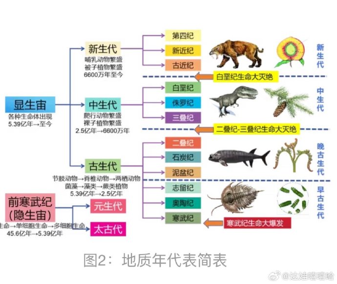 前四次生物大灭绝事件中都有什么生物灭绝?...