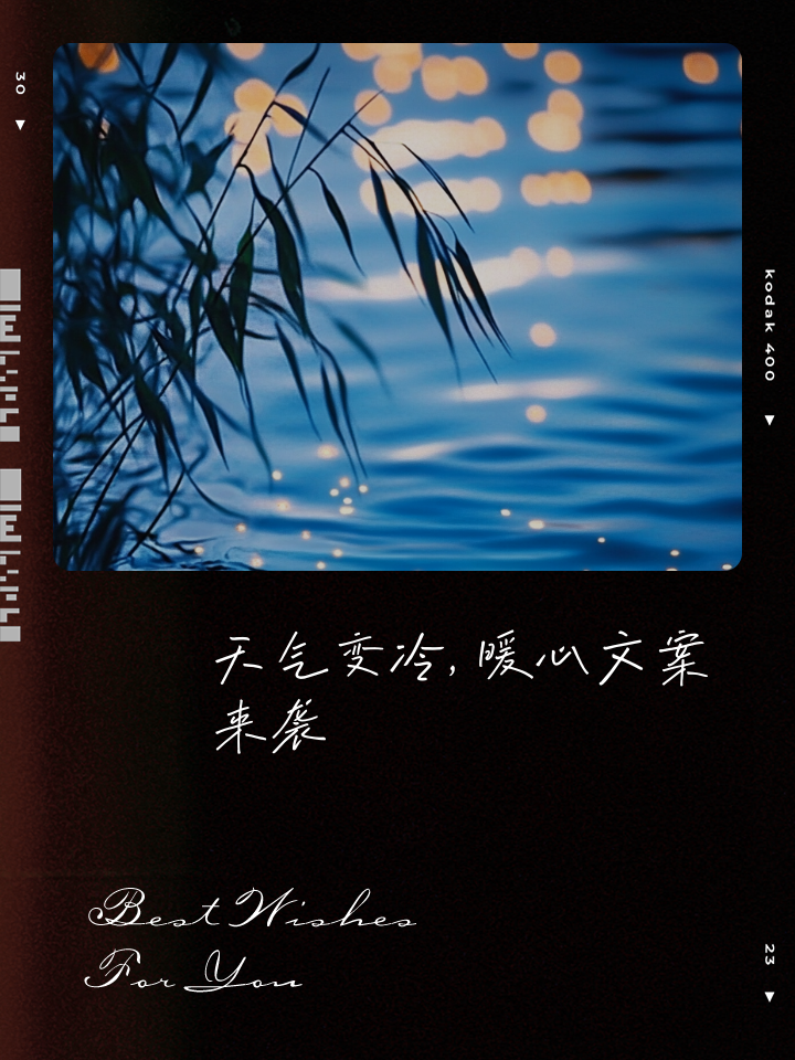 有什么可爱到打滚的文案?