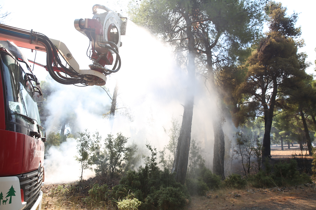 多灾多难给日本人带来什么？...