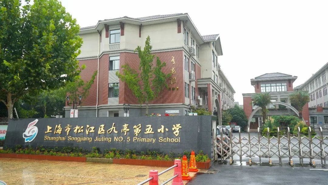 新闻消息刚刚传出：九亭150的一条街到底怎么样？真实体验分享