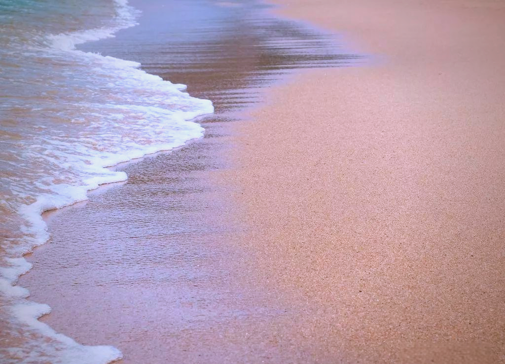 沙漠沙子来源解析 沙漠中的鱼儿从何而来