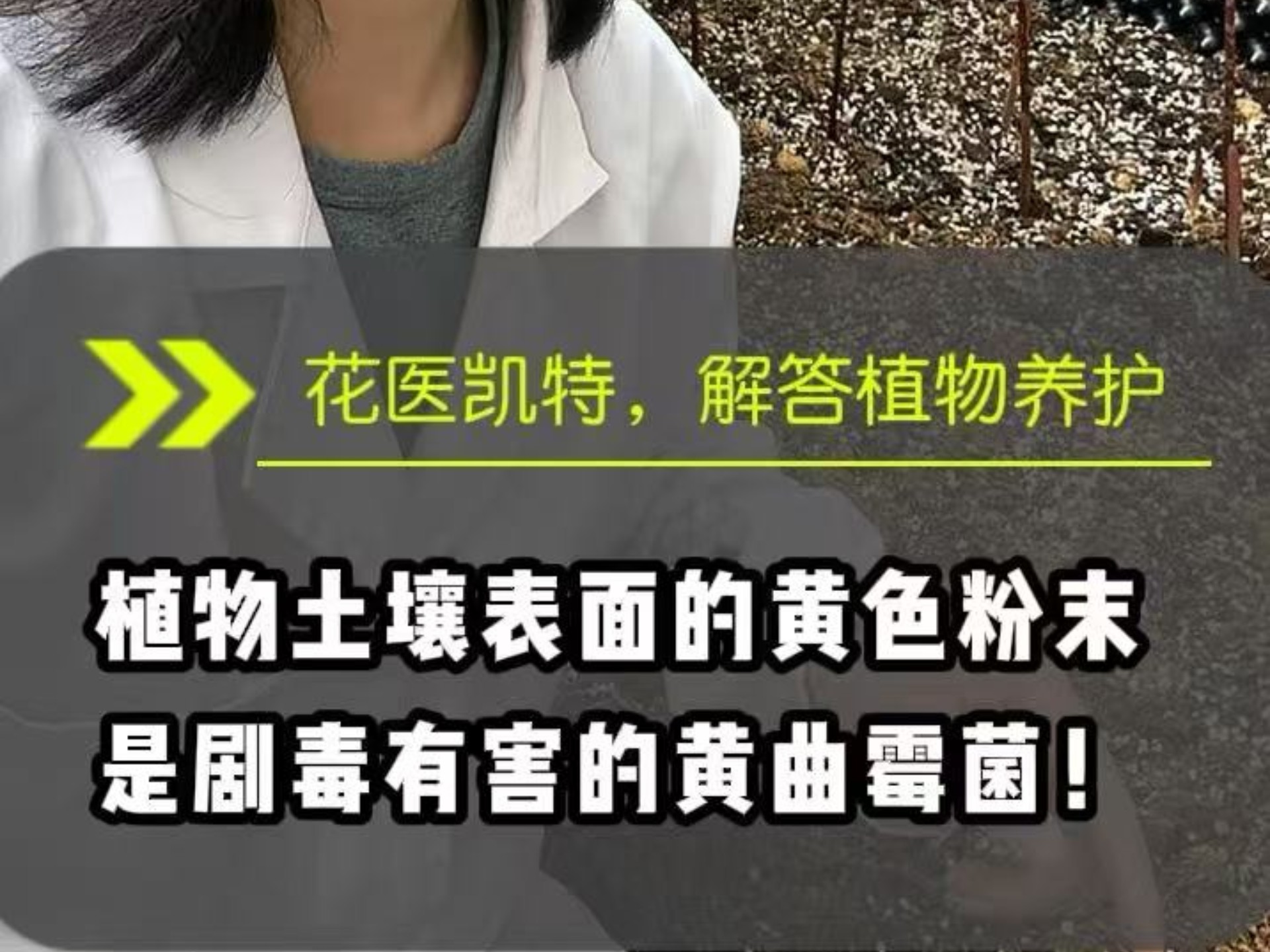 黄曲霉毒素危害有多大 黄曲霉毒素b1标准是什么