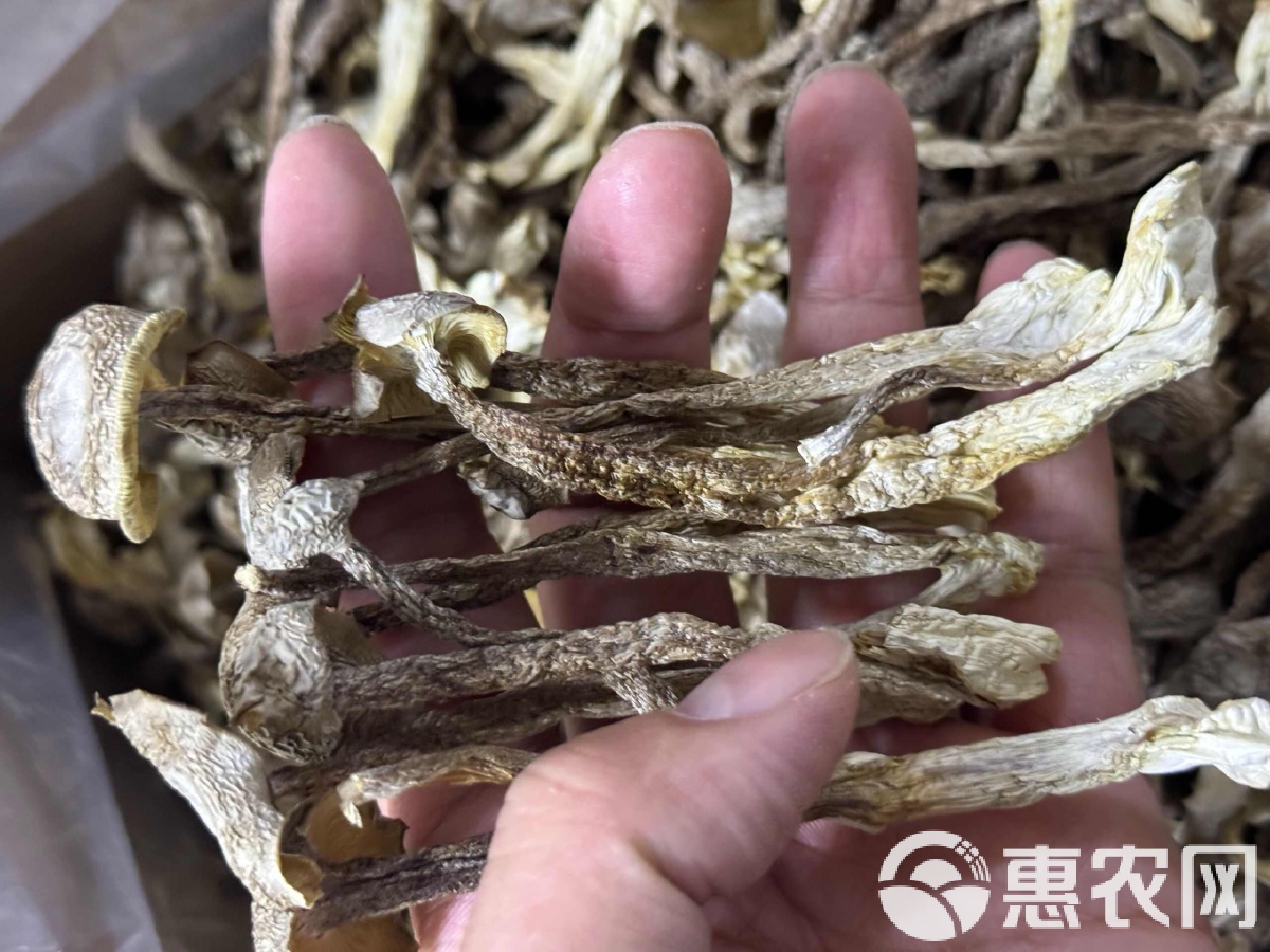 海鲜干货为什么我最钟爱虾米?...