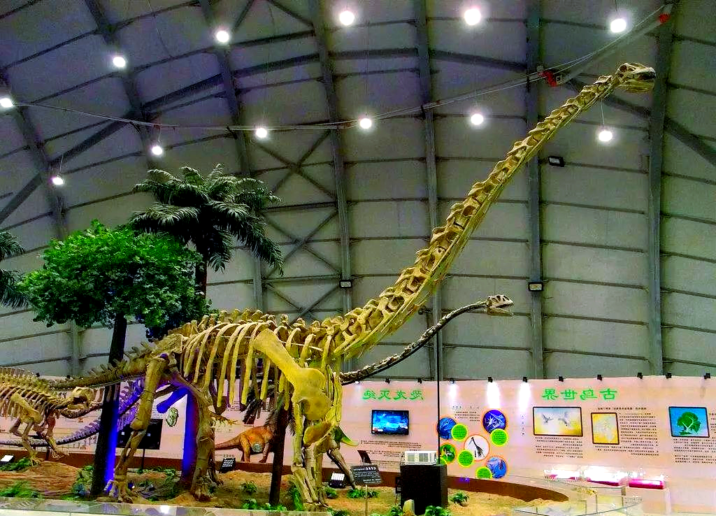 中国恐龙化石分布地图 探寻真正的恐龙故乡