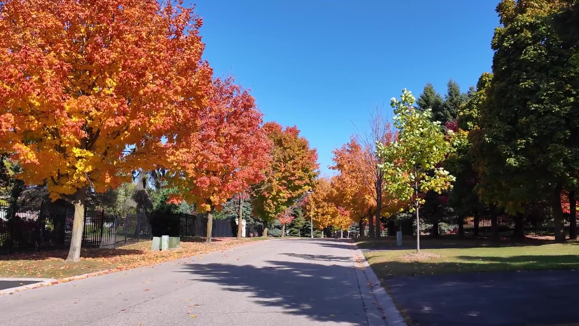 大岭山哪个巷子有卖小吃?