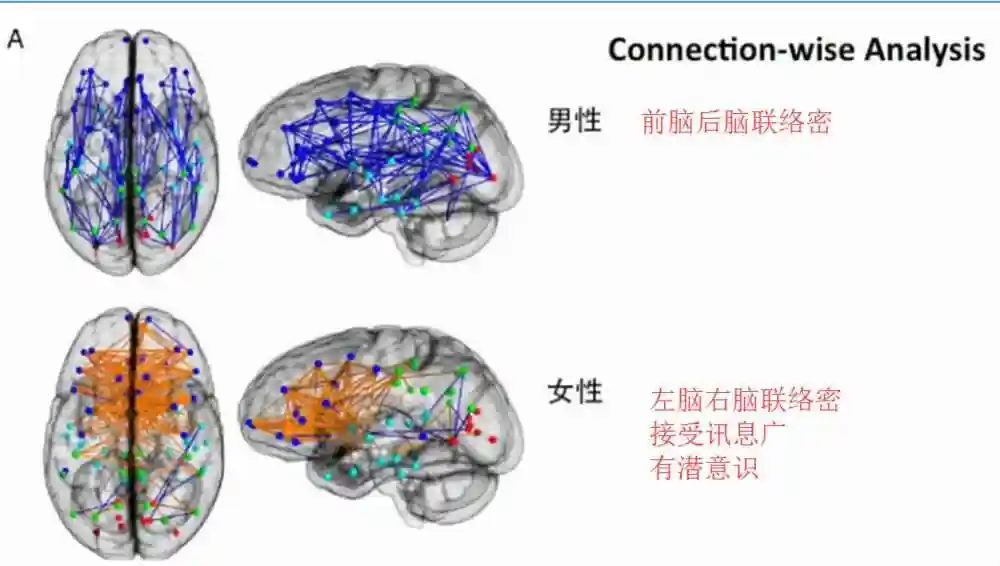 人的大脑何以研究人的大脑?...