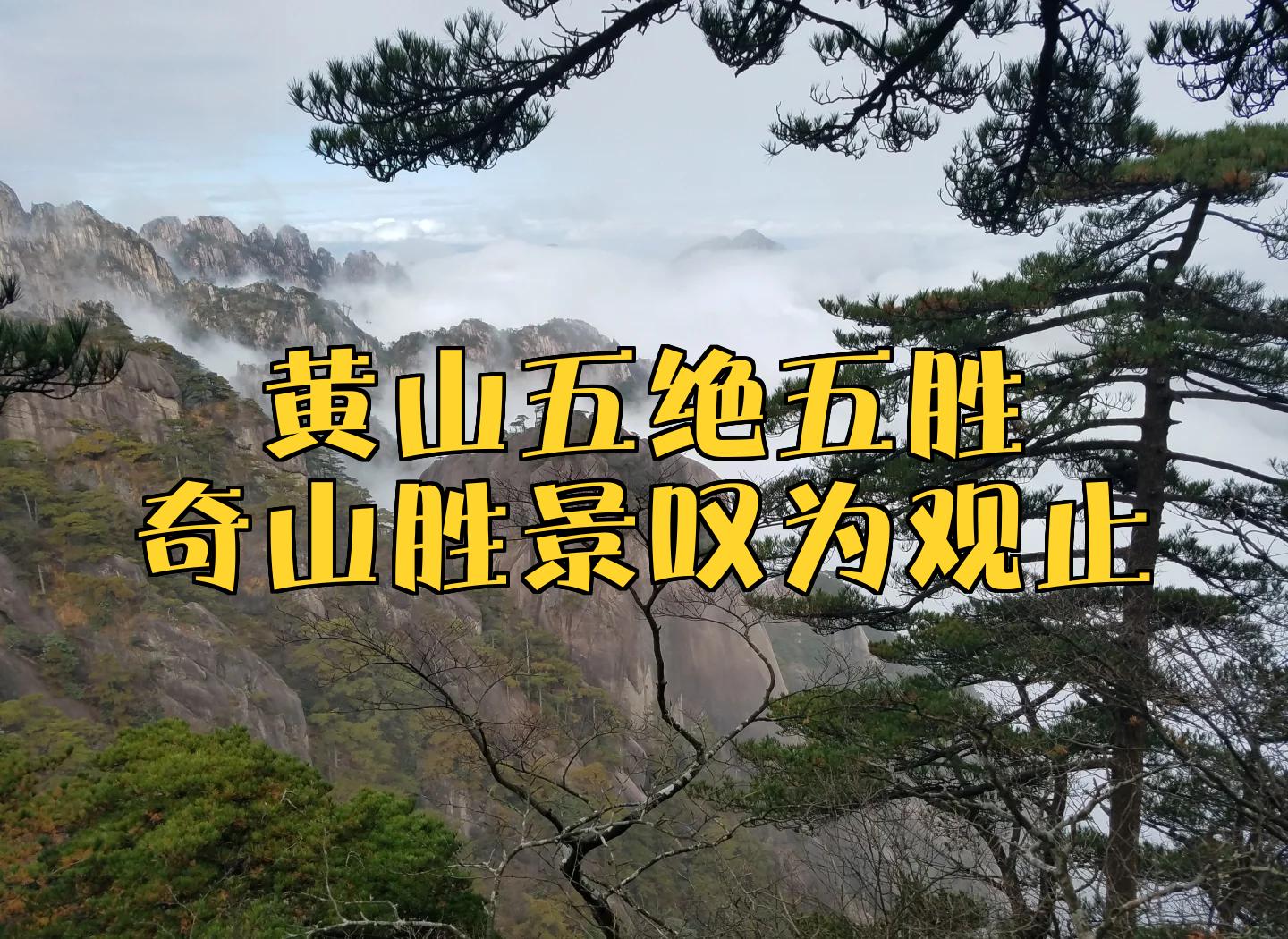报道透露：外国人日皮到底是个什么神奇存在实测体验与深度解析