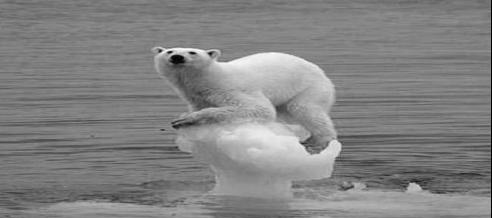 全球变暖到底多可怕 人类为何还在忽视气候危机