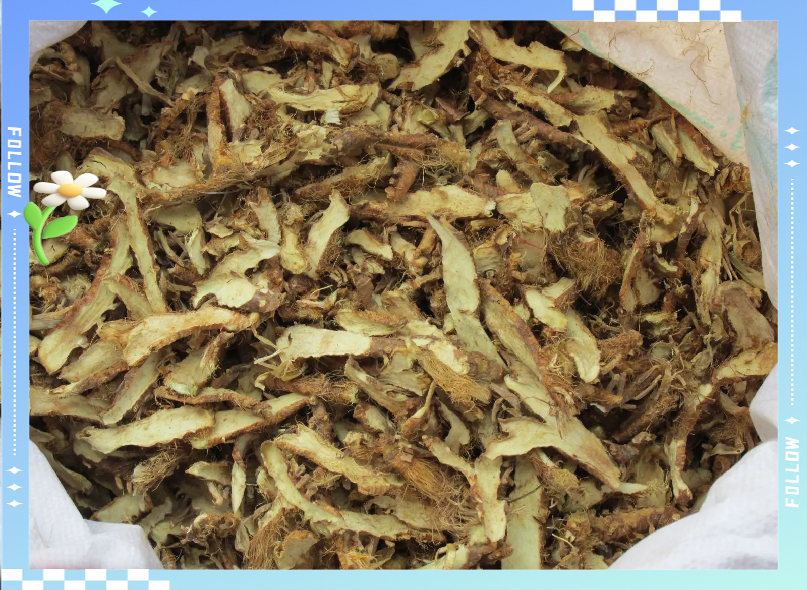 西方博物学家来到中国经历了什么?...