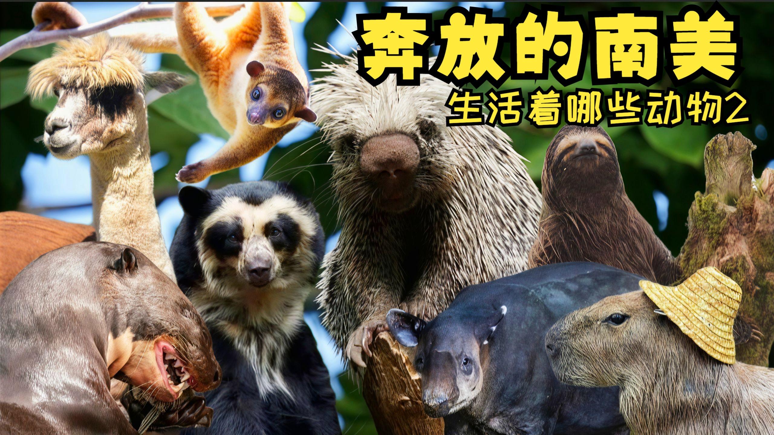 东郊按摩暗语避坑攻略：三类隐蔽套路全方位揭晓