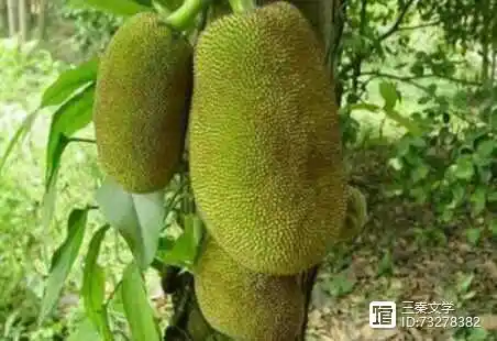 这些网传的“水果病”都是真的吗?...