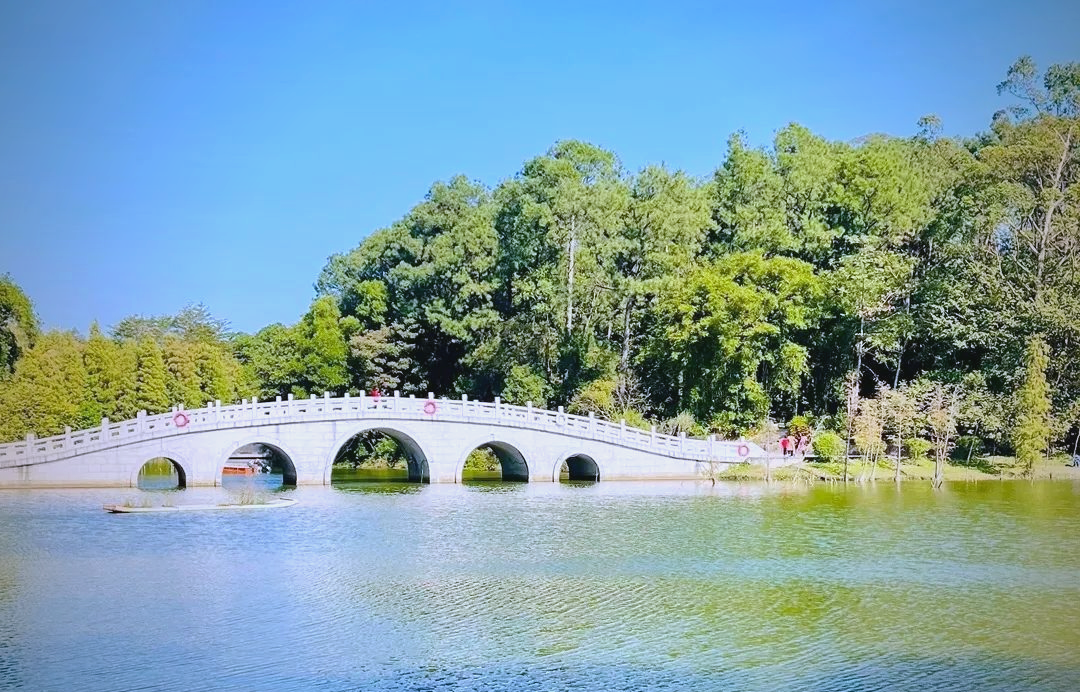 为什么东汉会成为“ 学习型社会 ”?...