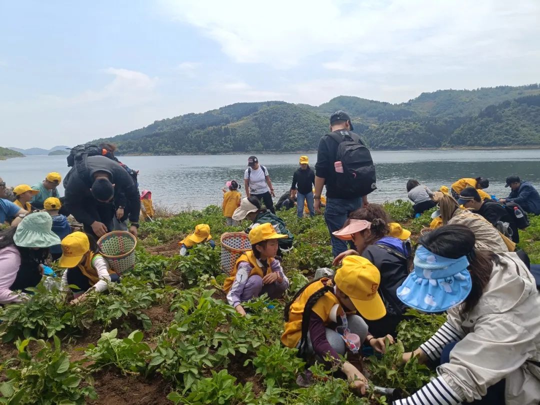 这些美好的“北漂女孩”为什么选择漂在北京?...