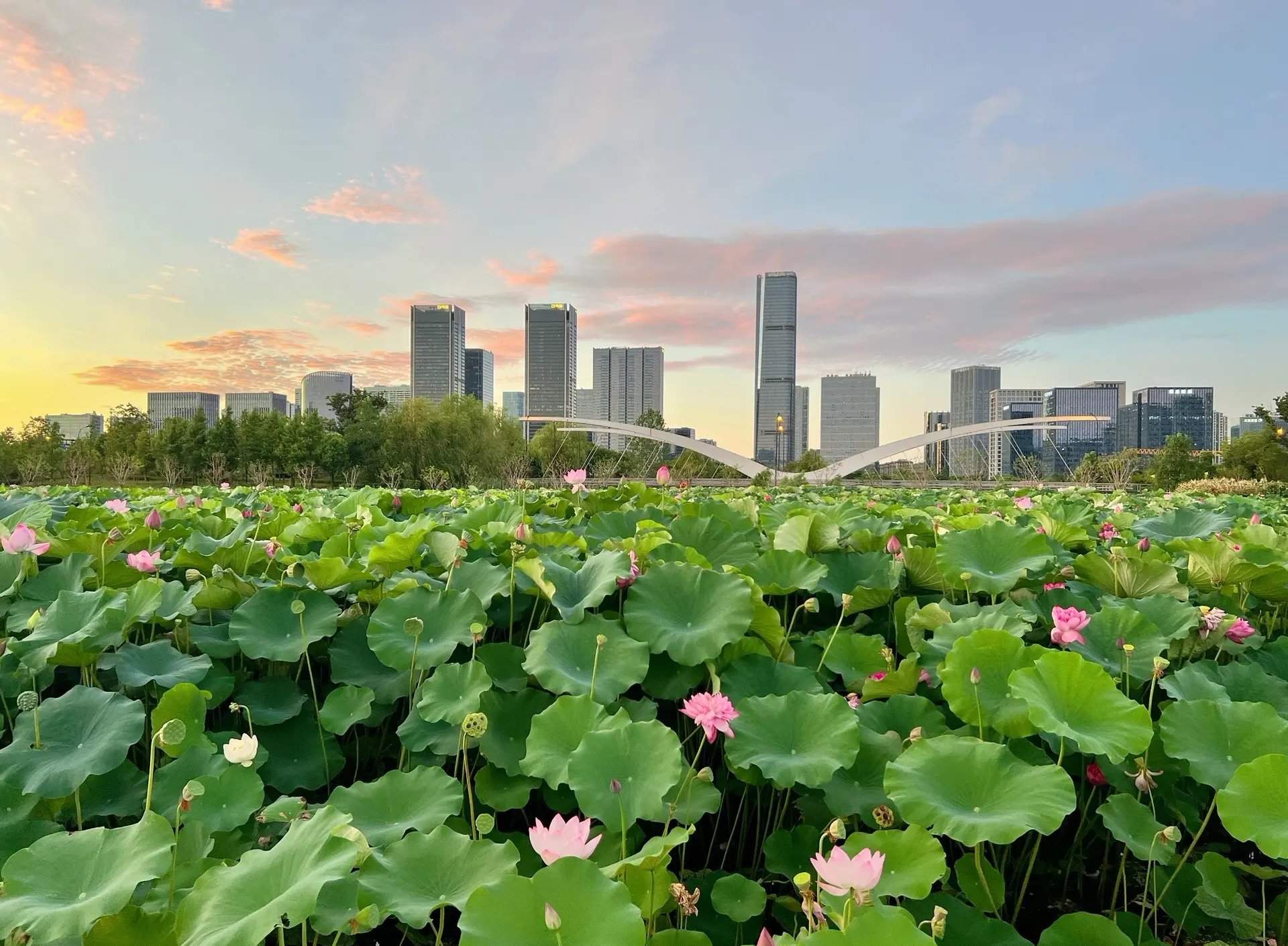 最新数据显示，杭州余杭哪里有站小巷的？深度解析位置与实用指南