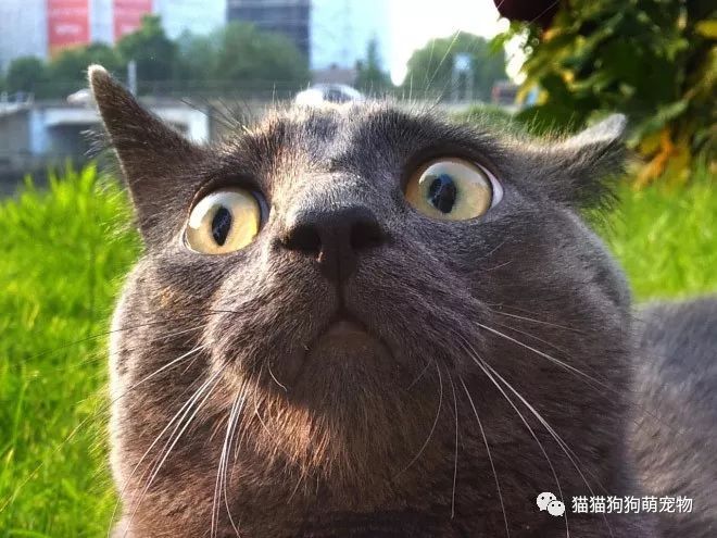 为什么敌人的女人”永远诱惑无穷”?...