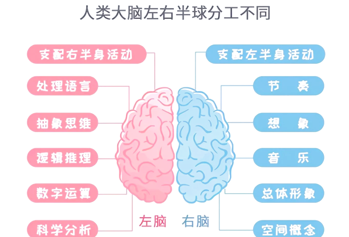 左撇子和右撇子的区别 为什么右撇子比左撇子多