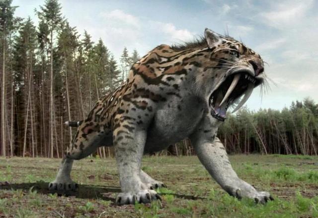 地球上是否会进化出只针对人类的真正天敌?...