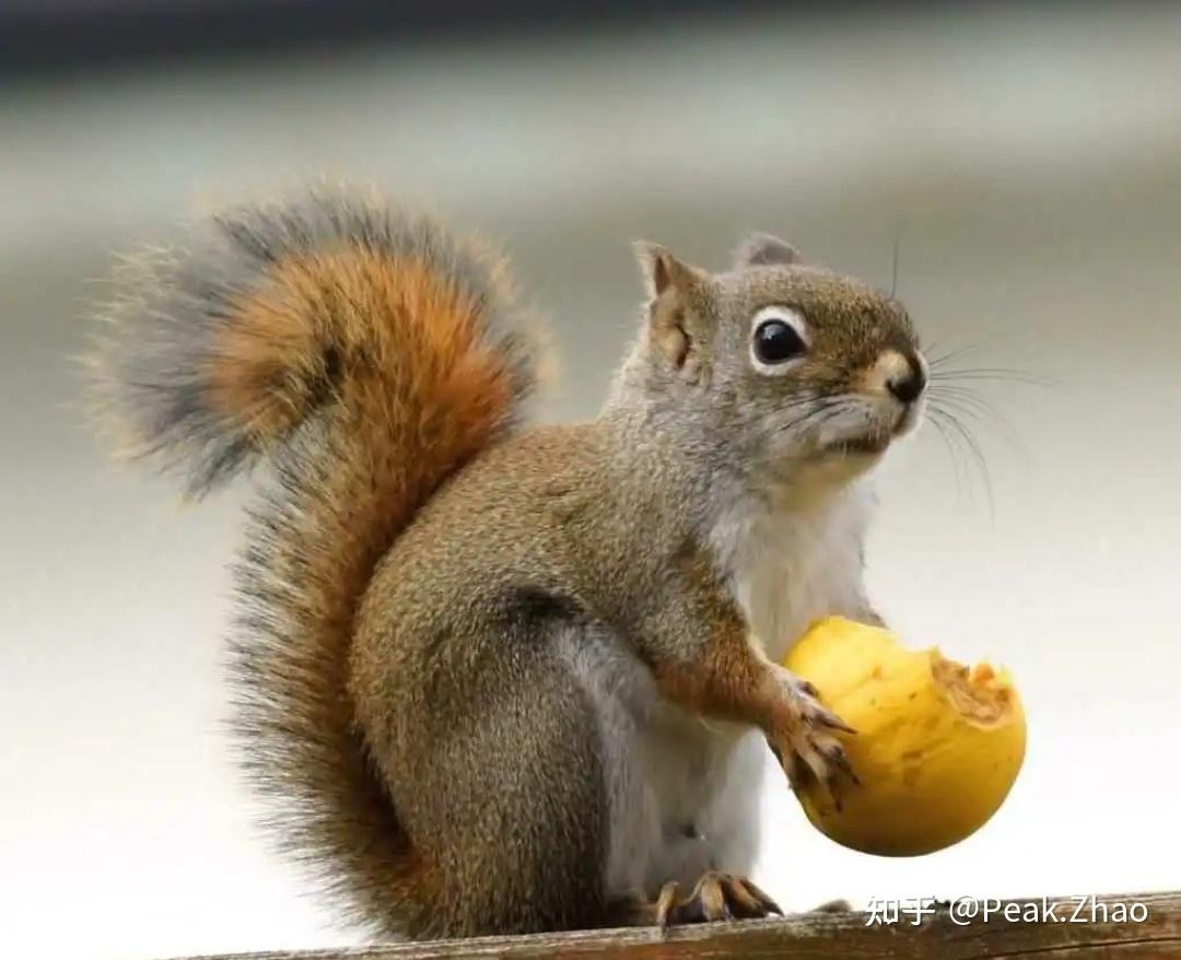 如何在城中村找到颜值高省200元的出租房？_实地探访3大避坑策略