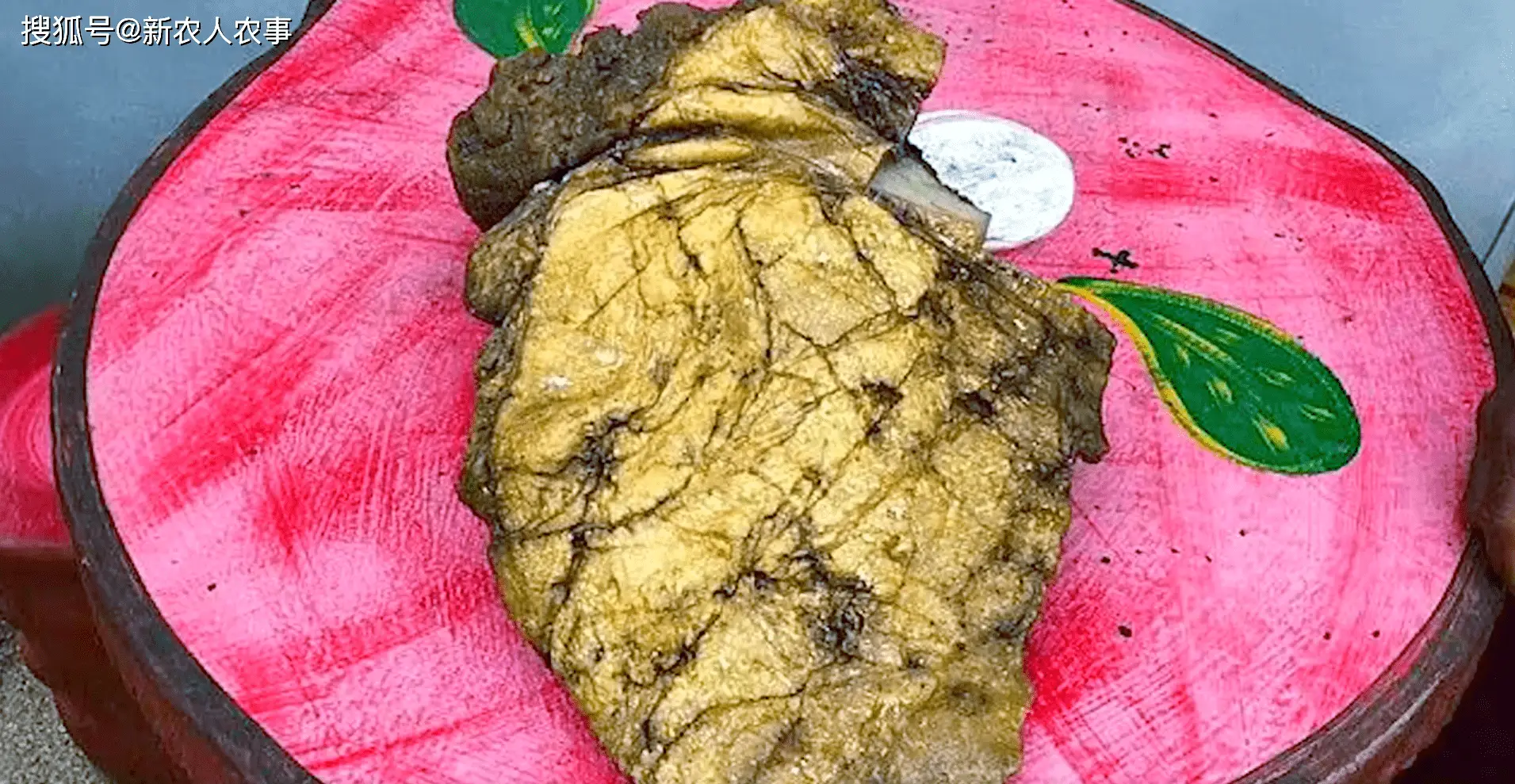 价值2100万!泰国渔民发现鲸鱼粪便,为何价格比黄...