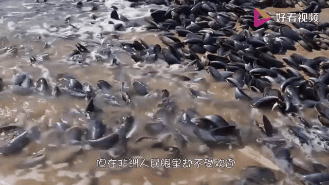 为何本地'元服务'泛滥？_解析违法交易3大法律风险