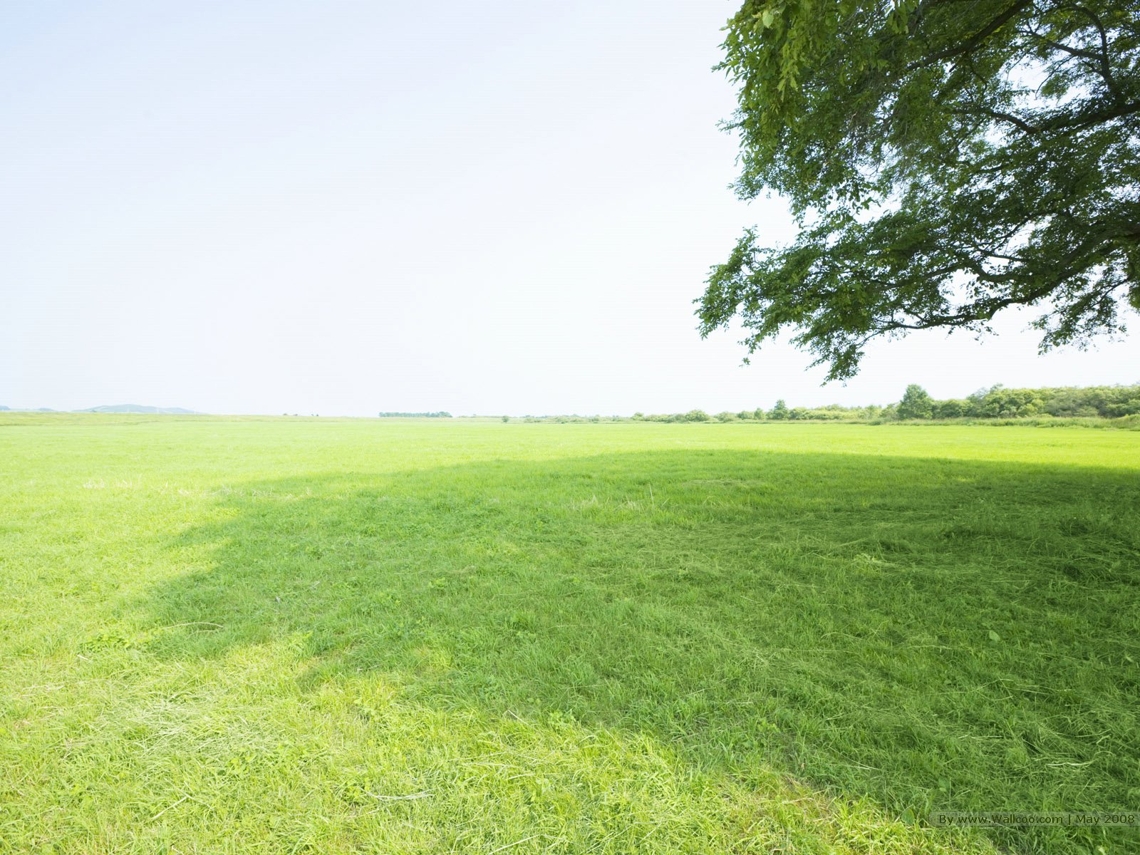 天空为什么是蓝色的 蓝色天空形成原因