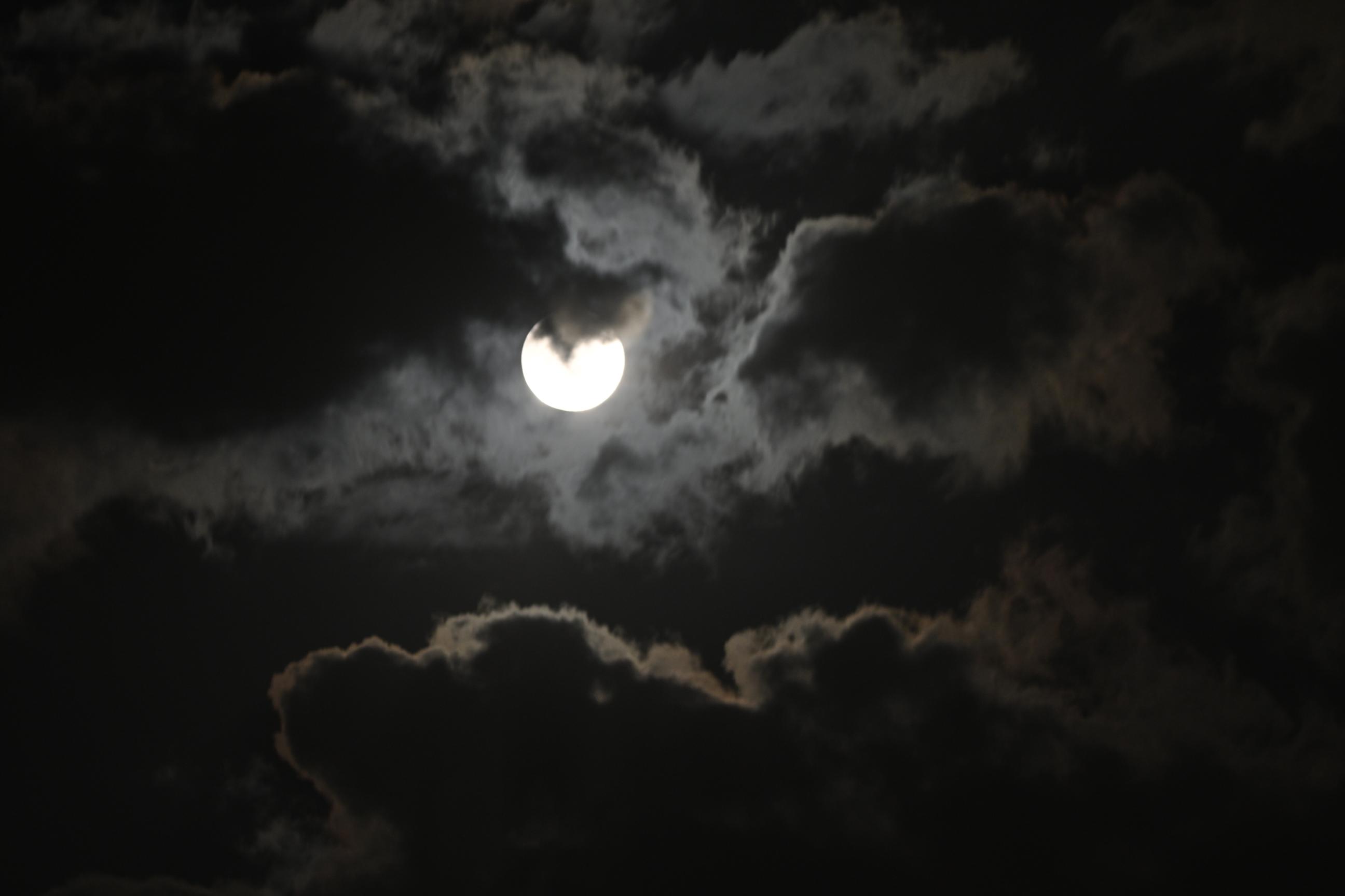 夜色精选论坛到底靠谱吗？真实用户体验与深度解读