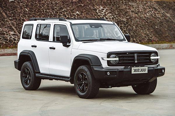 二人转艺术的魅力与争议 中国戏曲雅俗文化探讨