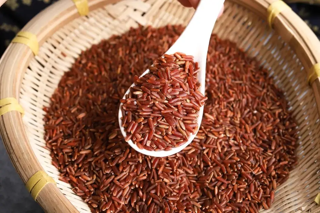 红米k40参数和配置