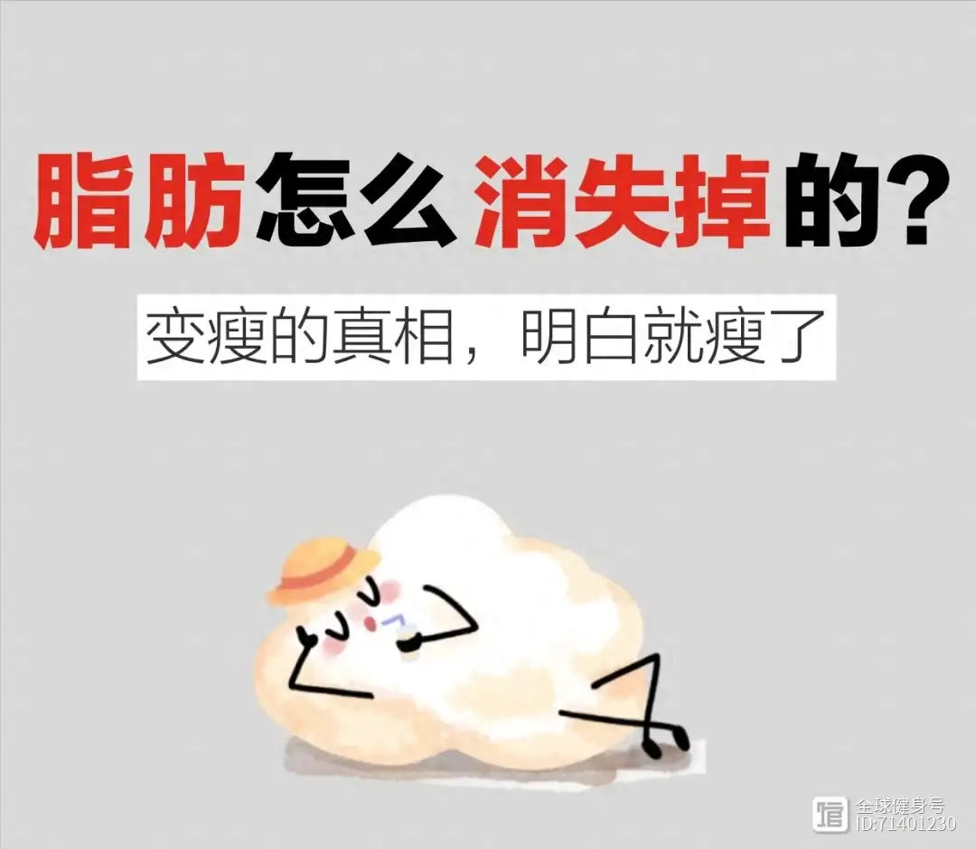 《柳叶刀》摄入脂肪高死亡率低！营养研究为何朝令夕改...